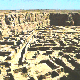 수사의 발굴 전경 B.C. 2000년대 초기.