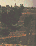 예루살렘의 언덕중의 하나인 시온산전경